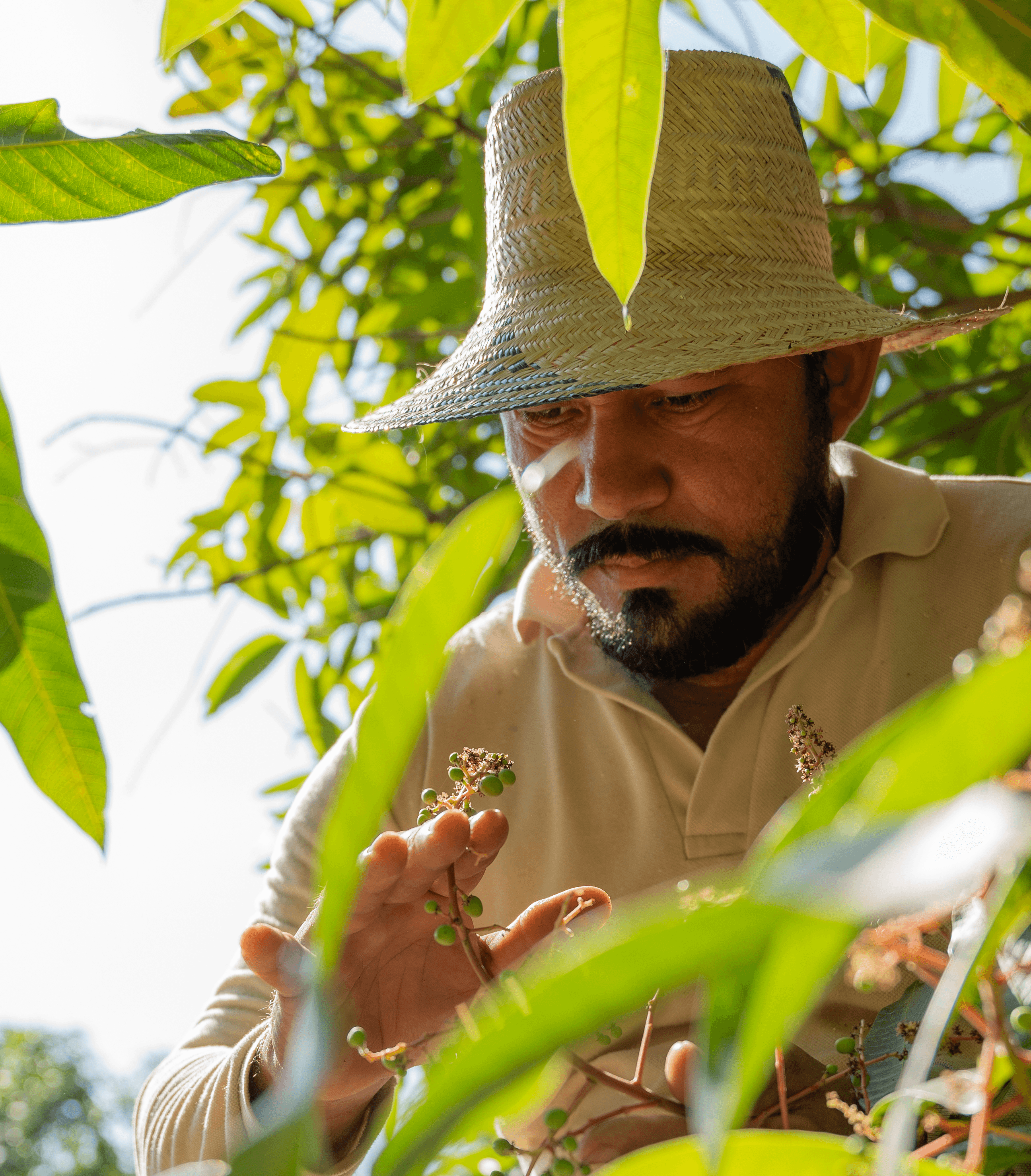 Our Farmers